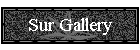 Sur Gallery