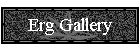 Erg Gallery