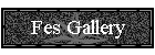 Fes Gallery